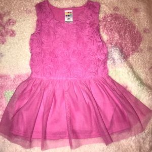 Pink rose dress 18 month